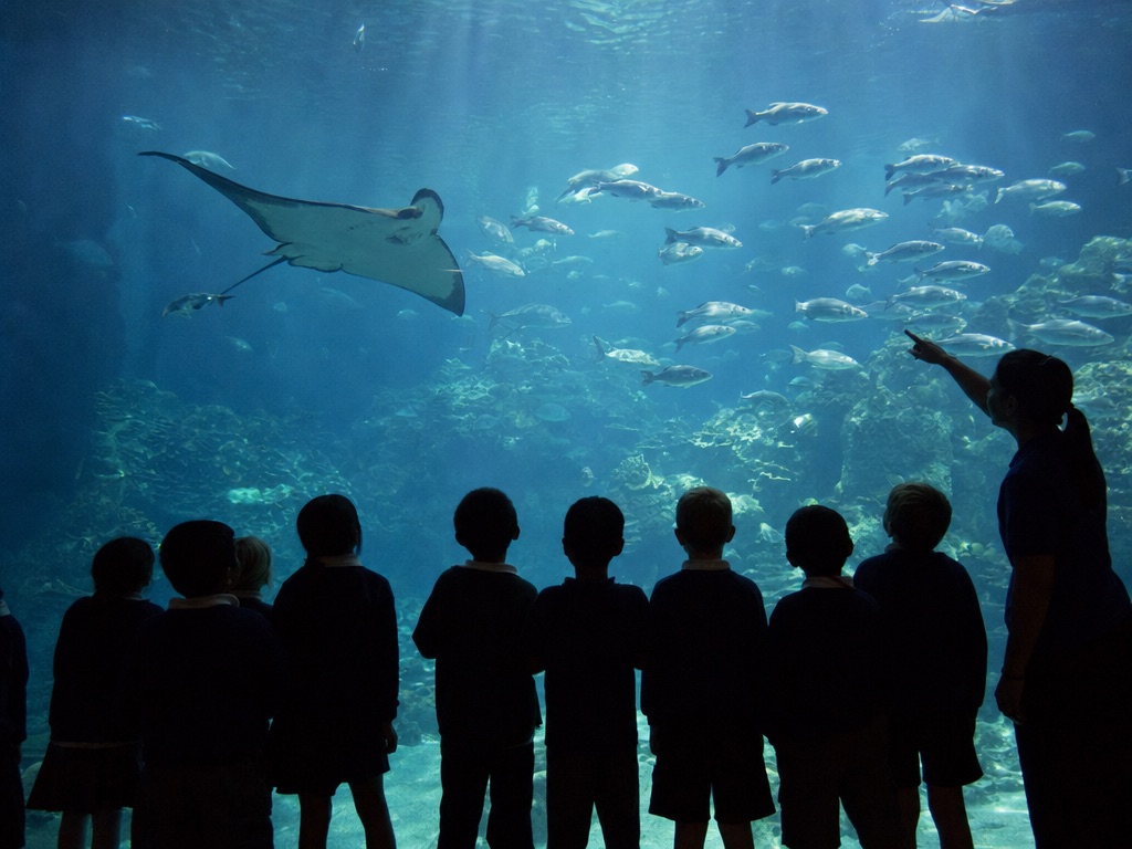 A row of children and a guide in front of a large tank