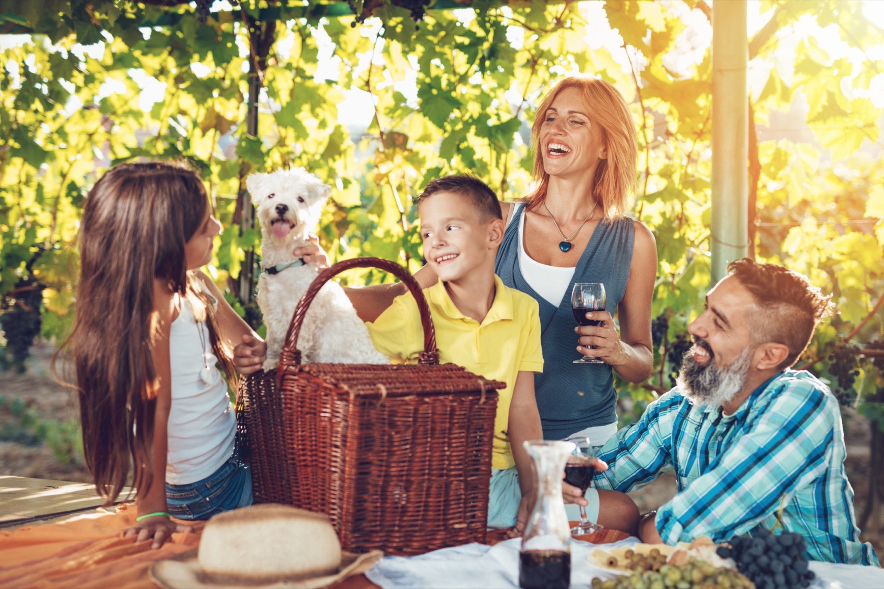 A family at a picnic table under vines